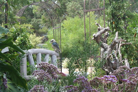 Rosebridge House Bed & Breakfast Adult Retreat - Accommodation Resorts 12