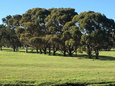 Cosy Corner Chalets - Accommodation Resorts 2