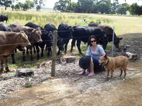 Cosy Corner Chalets - Accommodation Resorts 20