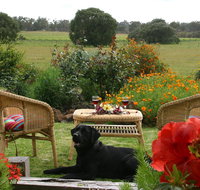 Silversprings cottages - Accommodation Resorts