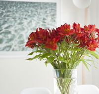 On The Beach Waterfront Apartment - Accommodation Resorts