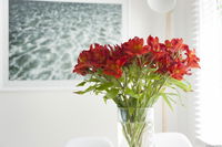 Book Kingston Beach Accommodation Vacations Accommodation Resorts Accommodation Resorts