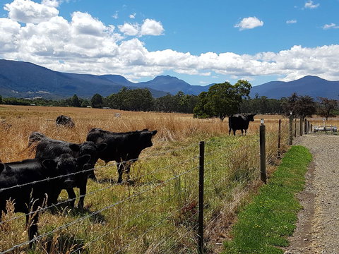 The Manager\'s Cottage - Accommodation Resorts 6