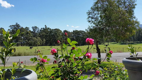 The Manager\'s Cottage - Accommodation Resorts 17