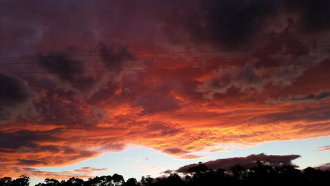 The Manager\'s Cottage - Accommodation Resorts 12