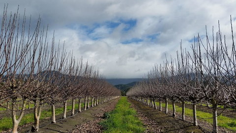 The Manager\'s Cottage - Accommodation Resorts 18