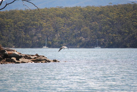 A Slice Of Paradise - Accommodation Resorts 18