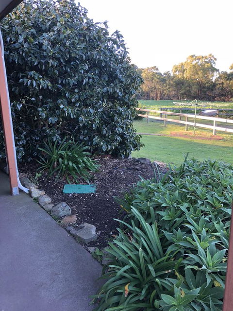 Acton Park Holiday Units - Accommodation Resorts 20