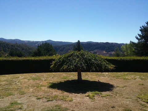 Robin\'s Nest B&B - Accommodation Resorts 28