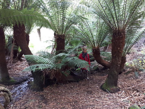 Robin\'s Nest B&B - Accommodation Resorts 9