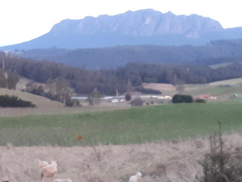 Robin\'s Nest B&B - Accommodation Resorts 32