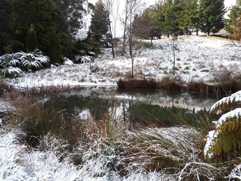 Robin\'s Nest B&B - Accommodation Resorts 25