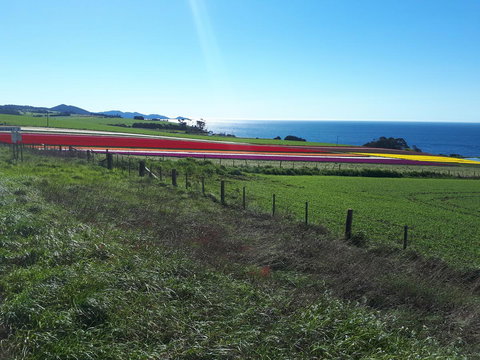 Robin\'s Nest B&B - Accommodation Resorts 26