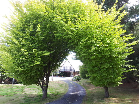 Robin\'s Nest B&B - Accommodation Resorts 10