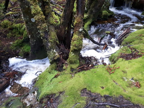 Robin\'s Nest B&B - Accommodation Resorts 27