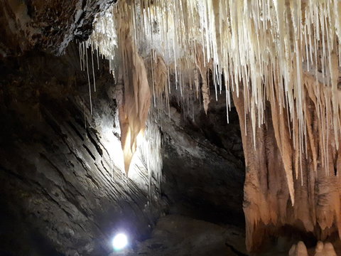 Robin\'s Nest B&B - Accommodation Resorts 29