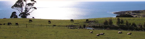 Penguin Seaside Farm - Accommodation Resorts 2