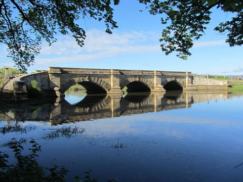 Elm Trees Accommodation @ Ross - Accommodation Resorts 29