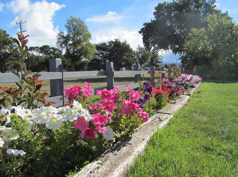 Elm Trees Accommodation @ Ross - Accommodation Resorts 24