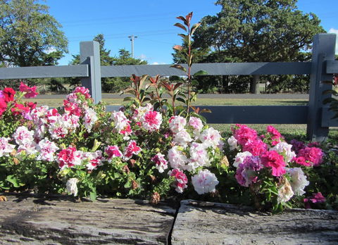 Elm Trees Accommodation @ Ross - Accommodation Resorts 25