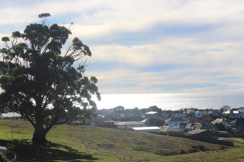 Hilltop Ocean Views å±±é¡¶æµ·æ™¯ - Accommodation Resorts 22