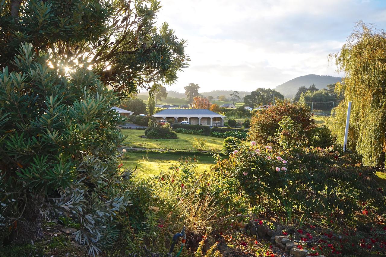  Accommodation Resorts
