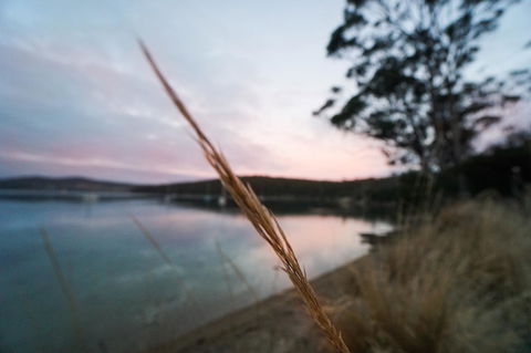 Free Spirit Pods - Accommodation Resorts 8