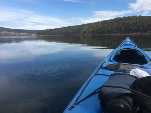 Free Spirit Pods - Accommodation Resorts 20