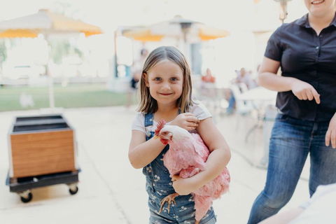 North Gregory Hotel - Accommodation Resorts 2