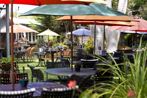 Oakdene Vineyards Guesthouse - Accommodation Resorts 0