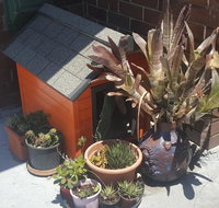 Orange Grove Hotel - Accommodation Resorts