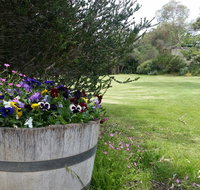 Padthaway Caravan Park - Accommodation Resorts