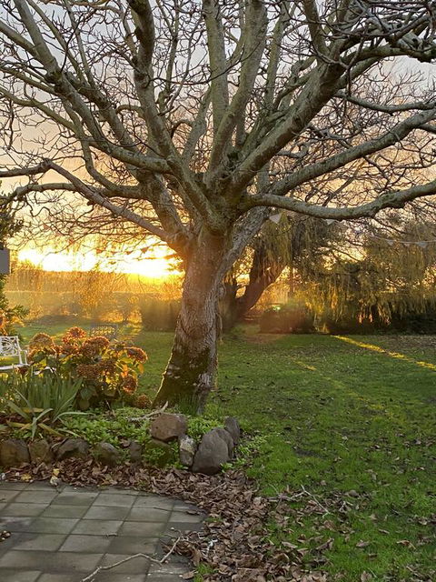 Peg Cottage - Accommodation Resorts 0