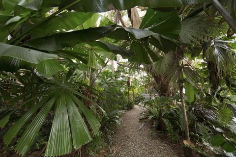 Rainforest Castaways Resort And Spa - Accommodation Resorts 1