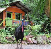 Rainforest Hideaway - Accommodation Resorts