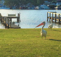 Riverfront Getaway - Mannum - Accommodation Resorts