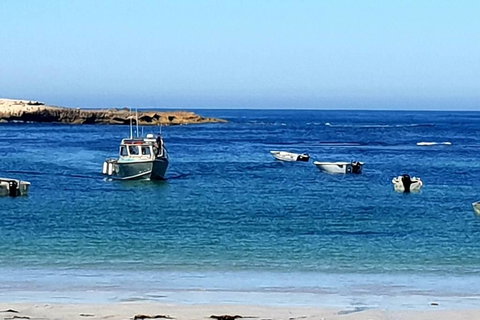 Rocks Retreat Cabin 3 - Lobster - Accommodation Resorts 2