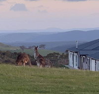 Rooks Edge - Accommodation Resorts