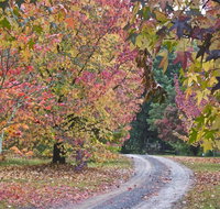 Rustic Spirit - Accommodation Resorts