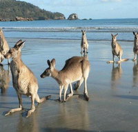 Seaforth Holiday Units - Accommodation Resorts