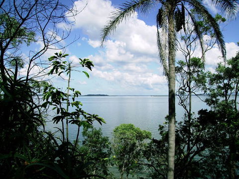 Seminara Apartments Coochiemudlo Island - Accommodation Resorts 1