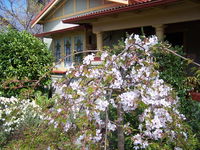 Book Katoomba Accommodation Vacations Accommodation Resorts Accommodation Resorts