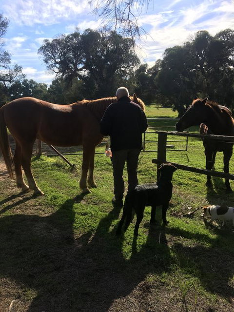 Shetland Park Chalets - Accommodation Resorts 2