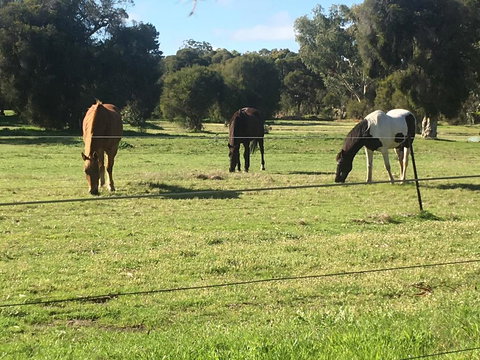 Shetland Park Chalets - Accommodation Resorts 1