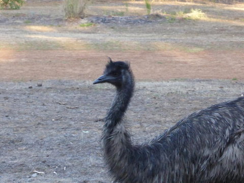 Splendid Wren Cottage - Accommodation Resorts 2