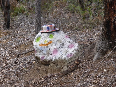 Splendid Wren Cottage - Accommodation Resorts 3