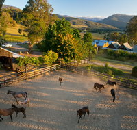 Spring Spur - Accommodation Resorts