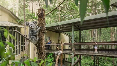 Springwood Meditation Centre - Accommodation Resorts 0