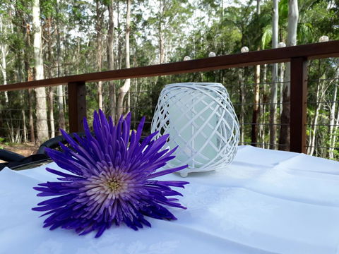 Stay @ The Cube - Accommodation Resorts 1