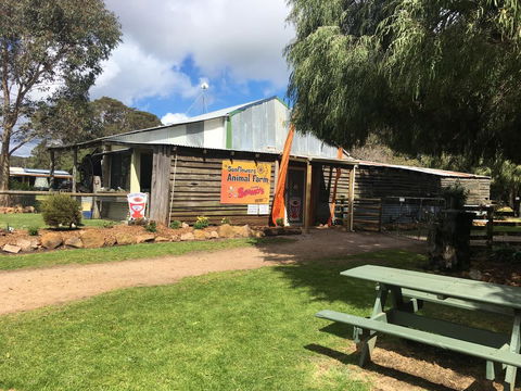 Sunflowers Animal Farm & Farmstay - Accommodation Resorts 2